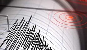 <strong>نیوزی-لینڈ-میں-7-شدت-کا-زلزلہ،-سونامی-کے-خطرے-کی-گھنٹی-بج-گئی