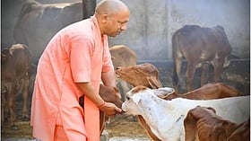 ###-حکومت-اتر-پردیش-نے-گائے-کے-گوبر-کے-پینٹ-کے-استعمال-کا-فیصلہ-کیا،-وزیر-اعلیٰ-کی-ہدایت